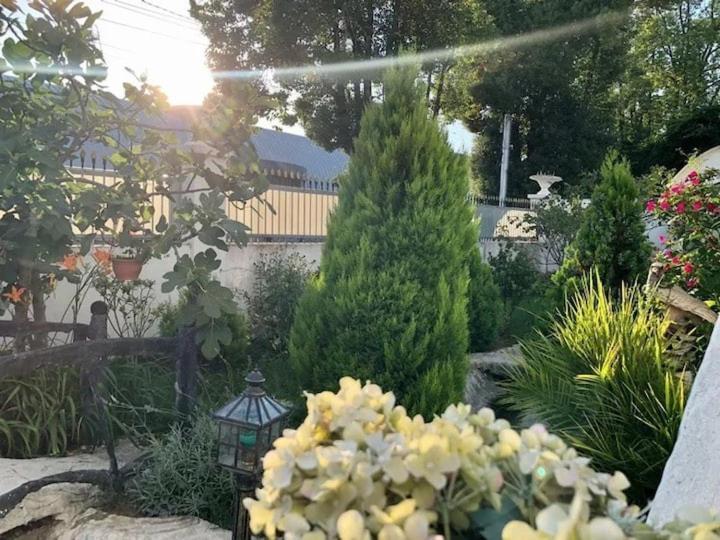 Бутик-Отель Белый Дом Балерины Soukhoumi Extérieur photo